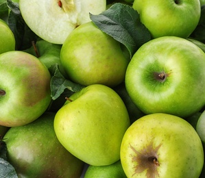 Photo of Many ripe juicy green apples as background