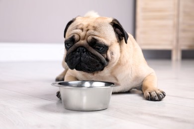 Photo of Cute pug dog suffering from heat stroke near bowl of water on floor at home