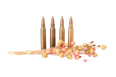 Bullets and beautiful dry plant isolated on white