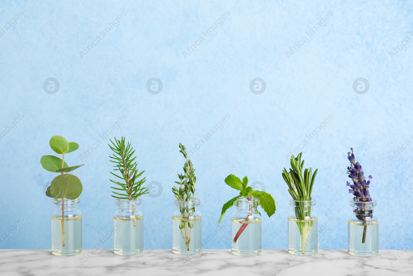 Photo of Glass bottles with different essential oils and herbs on color background