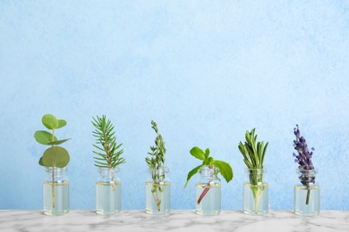 Glass bottles with different essential oils and herbs on color background