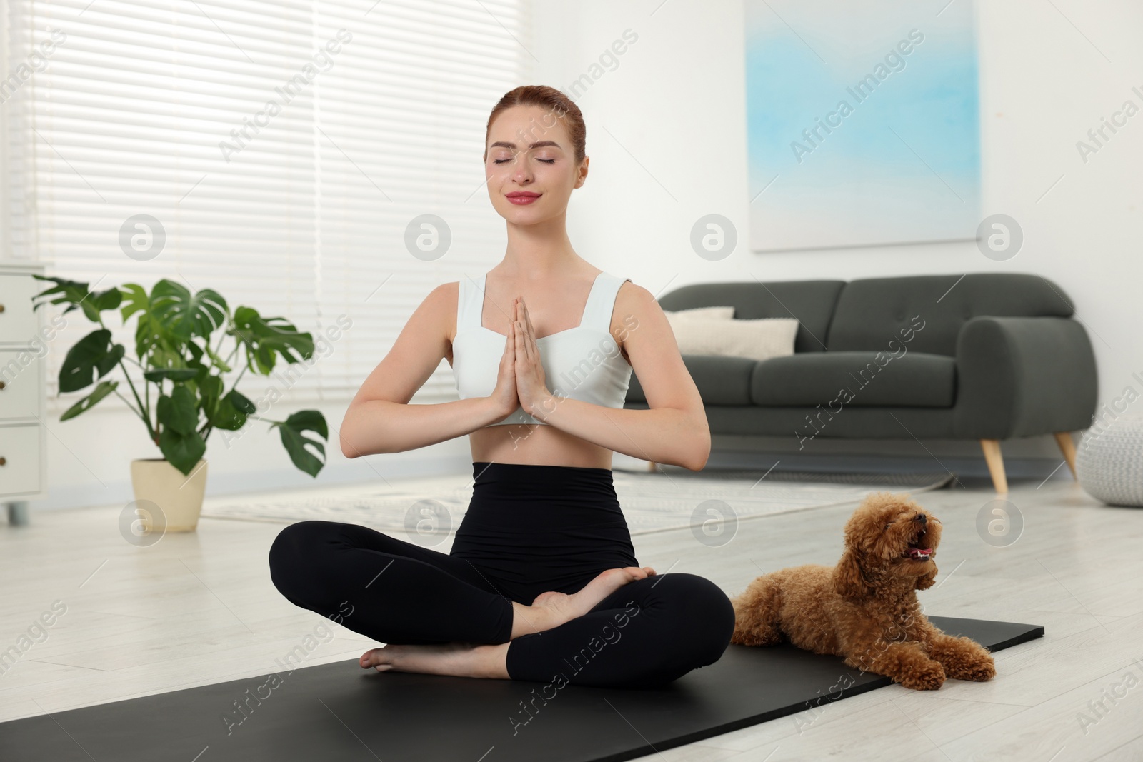 Photo of Young woman practicing yoga on mat with her cute dog at home