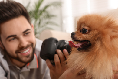 Photo of Professional animal photographer taking picture of beautiful Pomeranian spitz at home, focus on dog