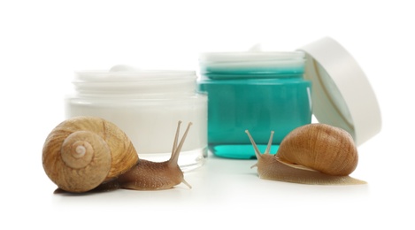 Snails and jars with cream isolated on white