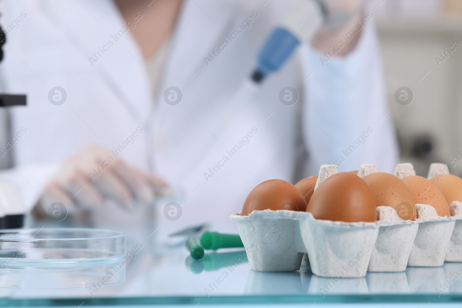 Photo of Quality control. Food inspector working in laboratory, focus on eggs