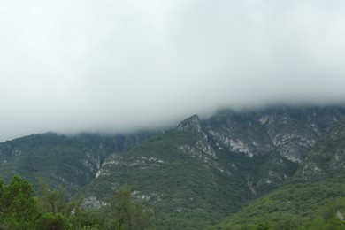 Photo of Picturesque viewbig mountains and trees under foggy sky
