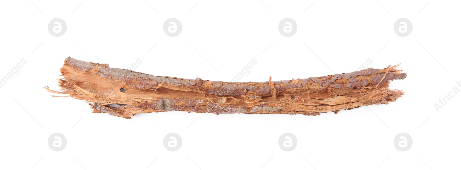 Photo of Tree bark piece isolated on white, top view