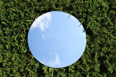 Round mirror on juniper shrub reflecting beautiful sky, top view