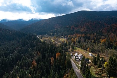 Image of Aerial view of beautiful forest, road and mountain village on autumn day