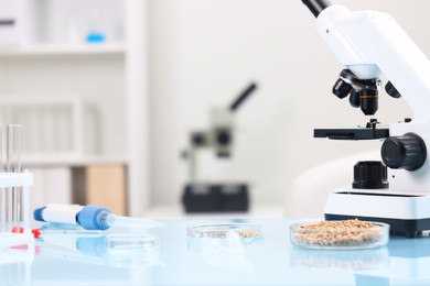 Food quality control. Microscope, petri dishes with wheat grains and other laboratory equipment on light blue table