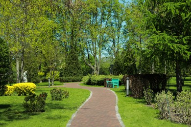 Photo of Picturesque view of beautiful park with fresh green grass and trees