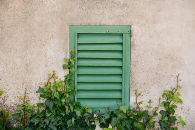 Photo of Window with old wooden shutter surrounded by ivy on concrete wall
