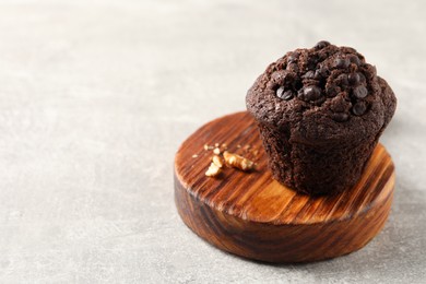 Delicious chocolate muffin on light grey table, closeup and space for text