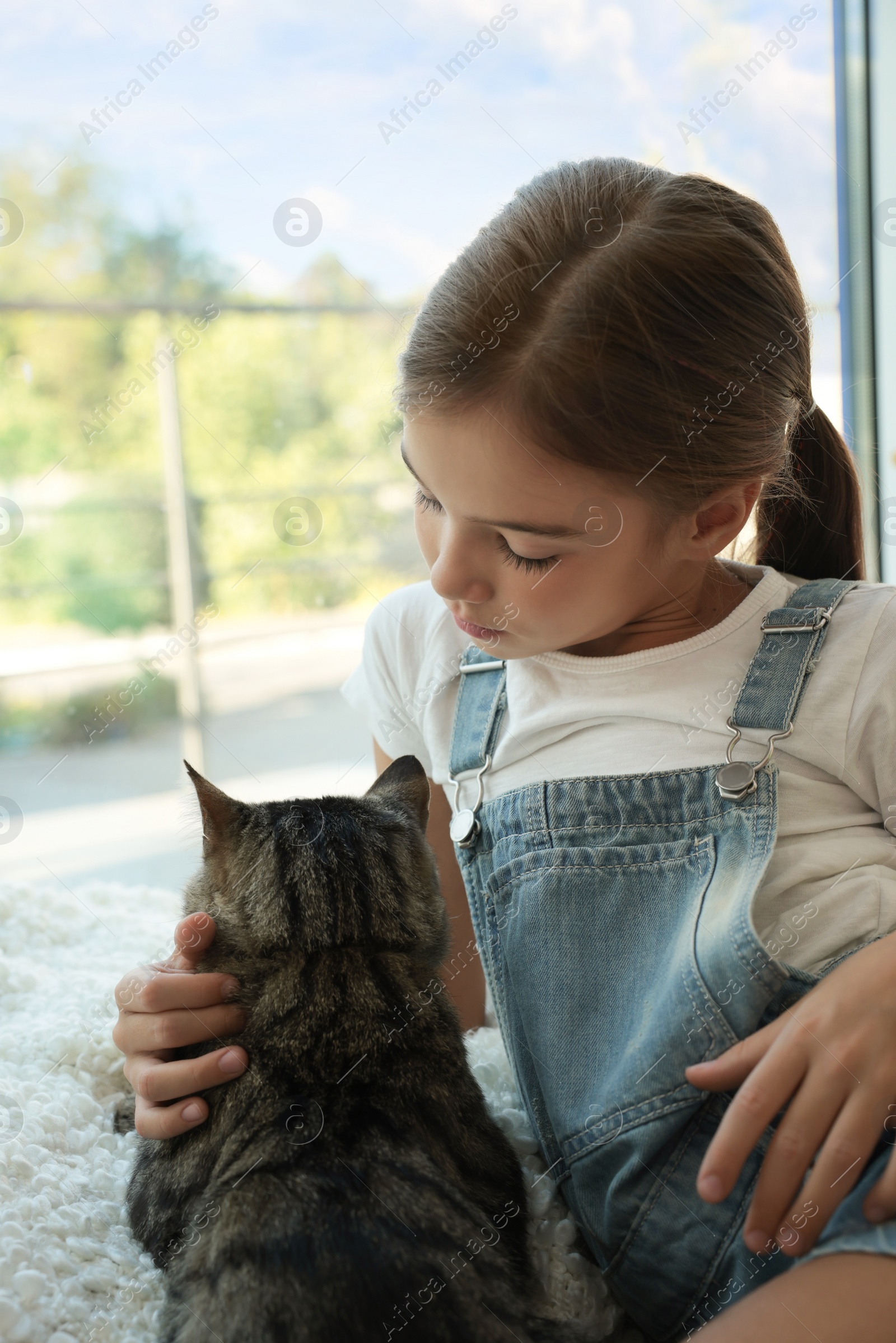 Photo of Cute little girl with her cat near window at home. Childhood pet