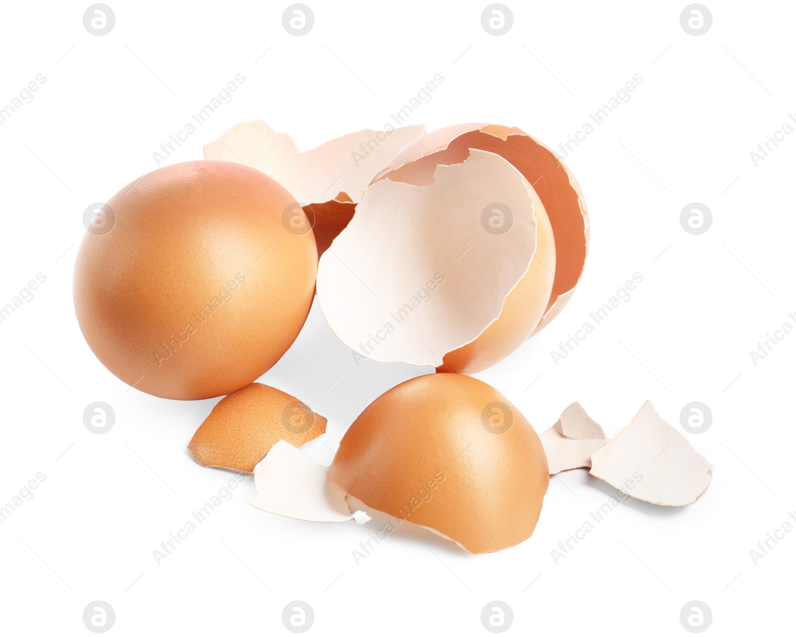 Photo of Chicken egg and pieces of shell isolated on white