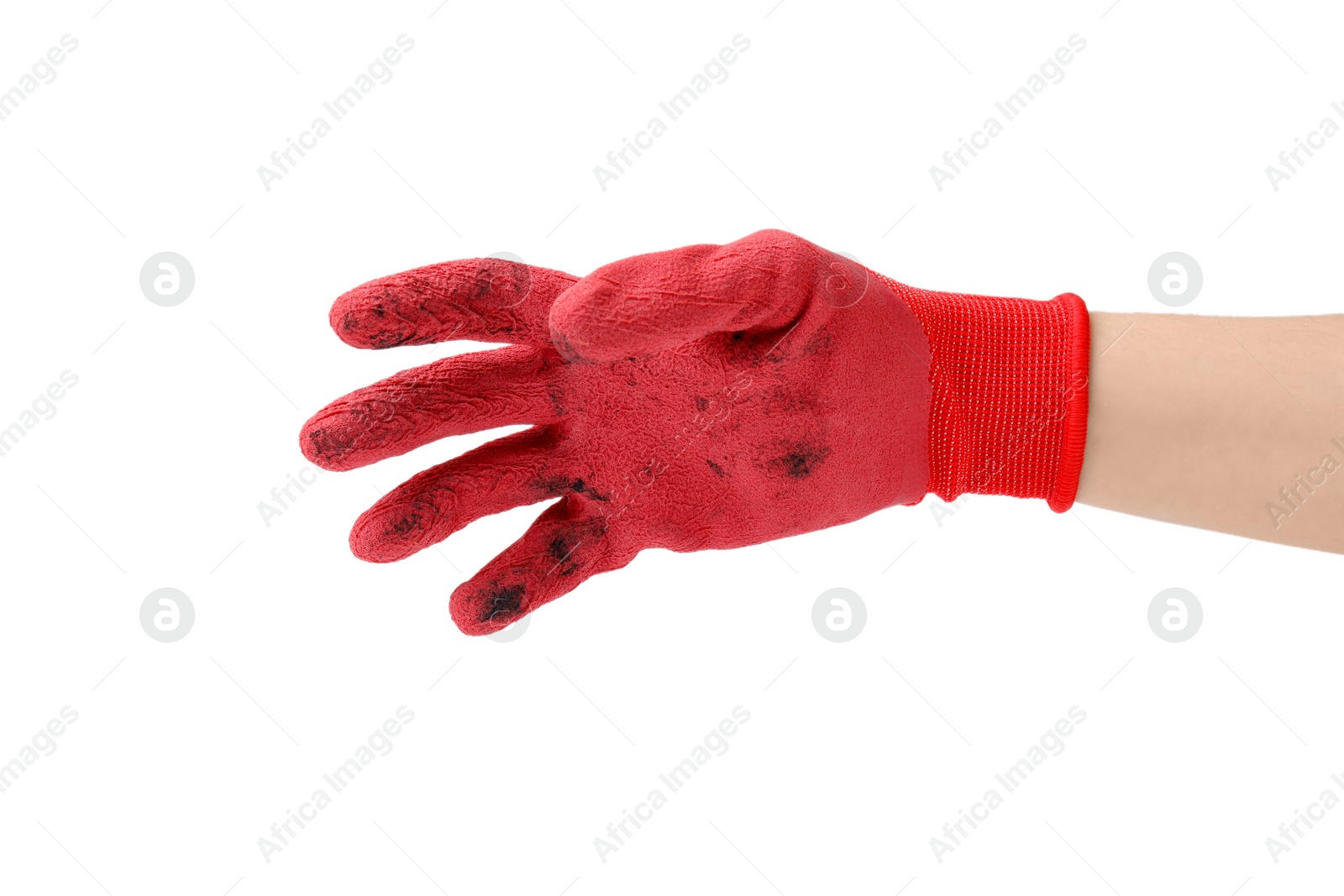 Photo of Woman in gardening glove on white background, closeup