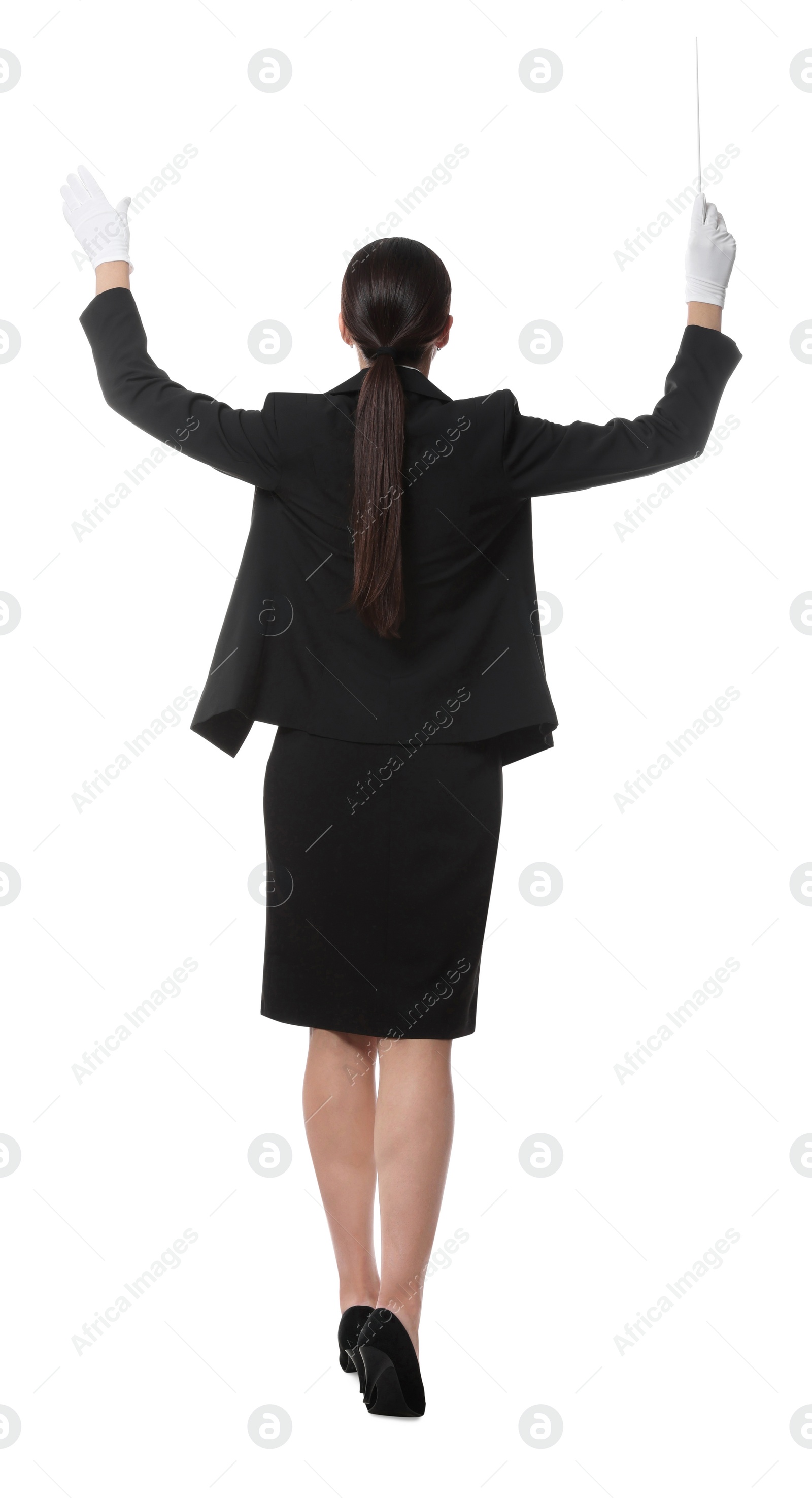 Photo of Professional conductor with baton on white background, back view