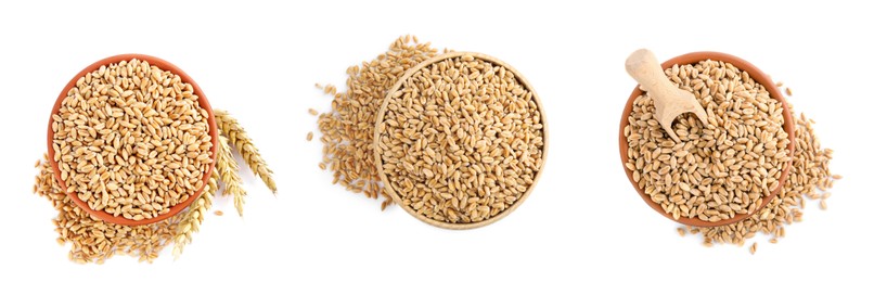 Image of Set with bowls of wheat grains on white background, top view. Banner design
