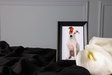 Photo of Pet funeral. Frame with picture of dog and calla flowers on black cloth, closeup. Space for text