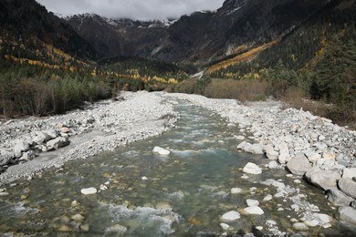 Photo of Picturesque view of river in mountains with forest on autumn day