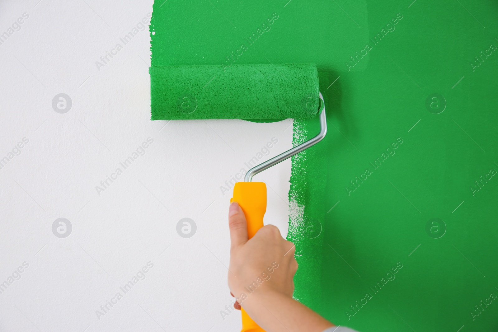 Photo of Woman painting white wall with green dye, closeup. Interior renovation