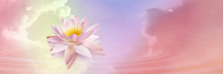 Floating beautiful lotus and reflection of sky with fluffy clouds on water, toned in pastel rainbow colors. Symbolic flower in Buddhism