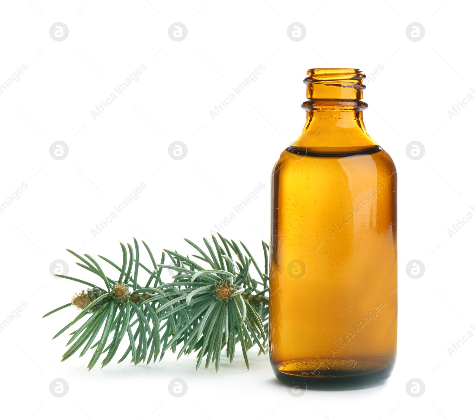 Photo of Little open bottle with essential oil and pine branch on white background