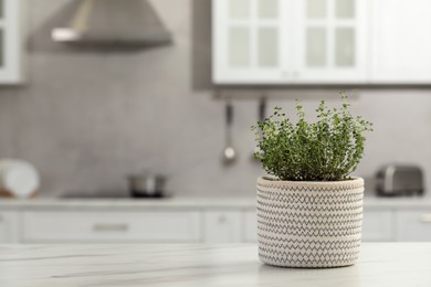 Beautiful potted microgreen on white table in kitchen, space for text