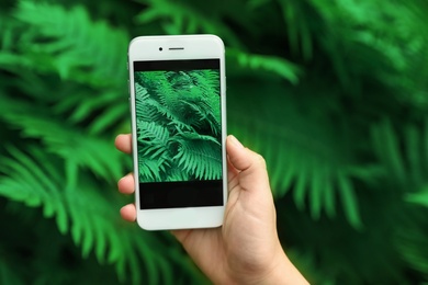 Photo of Woman taking photo of beautiful green tropical leaves in botanical garden, closeup