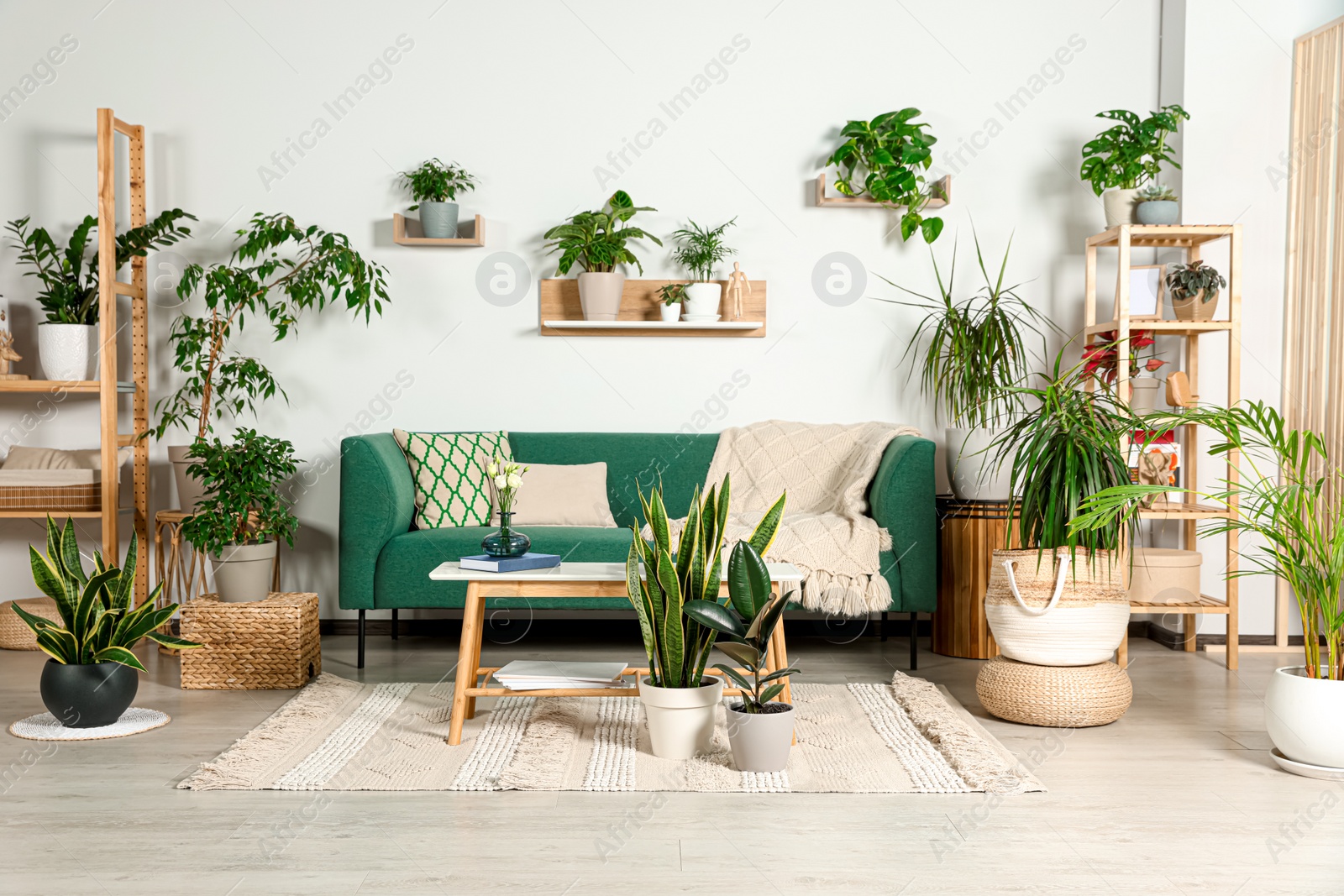 Photo of Living room interior with beautiful different potted green plants and furniture. House decor