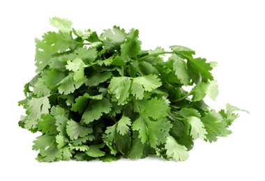 Photo of Bunch of fresh coriander on white background