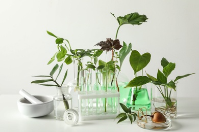 Photo of Ceramic mortar and laboratory glassware with plants on white background. Chemistry concept