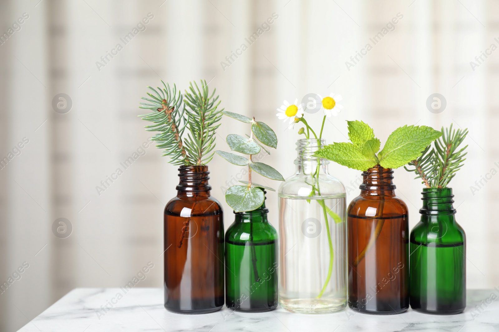 Photo of Glass bottles of different essential oils with plants on table