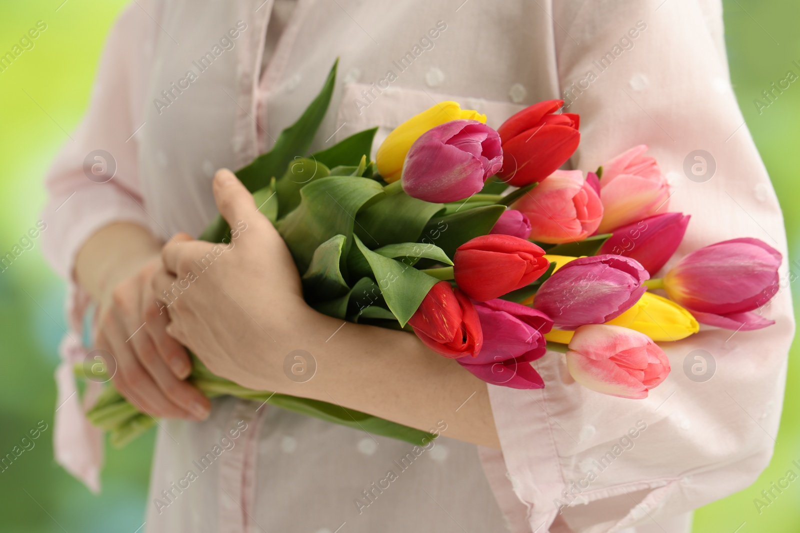 Photo of Woman holding beautiful colorful tulip flowers on blurred background, closeup