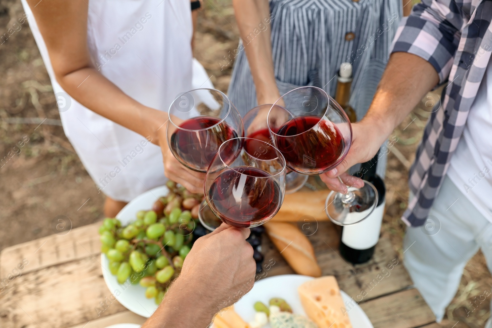 Photo of Friends holding glasses of wine over picnic table at vineyard