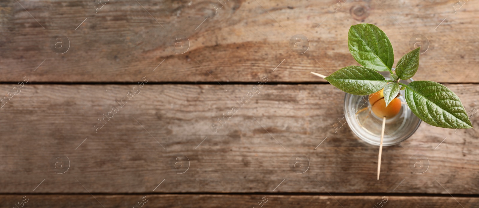 Image of Glass with sprouted avocado and space for text on wooden background, top view. Banner design