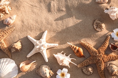 Photo of Flat lay composition with starfishes and seashells on sandy beach. Space for text