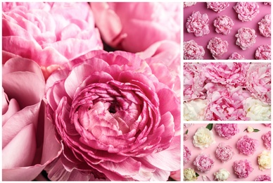 Creative collage with photos of beautiful flowers on color backgrounds 