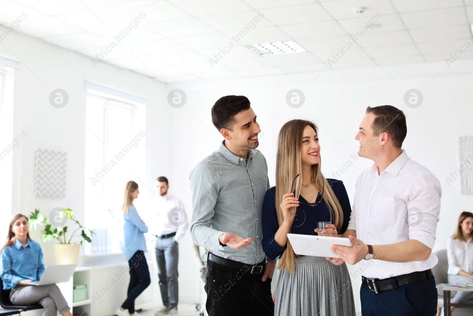 Photo of Young people having business training in office