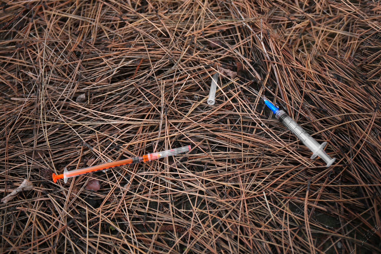 Photo of Disposable syringes with needles on heap of dry branches