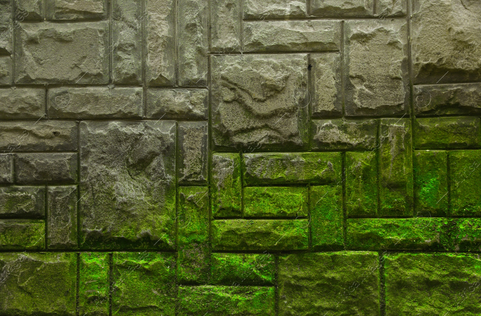 Photo of Brick wall with green moss as background, closeup