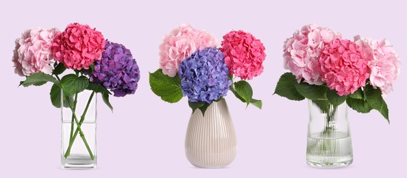 Collage of stylish vases with beautiful hydrangea bouquets on pale pink background. Banner design