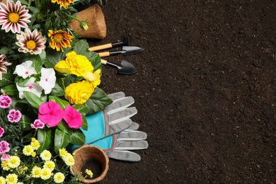 Flat lay composition with gardening tools and flowers on soil, space for text