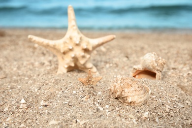 Photo of Beautiful starfish and shells on sand near sea. Beach objects