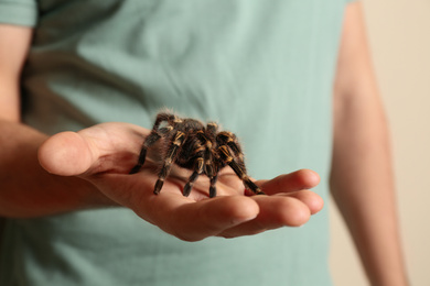 Photo of Man holding striped knee tarantula on beige background, closeup