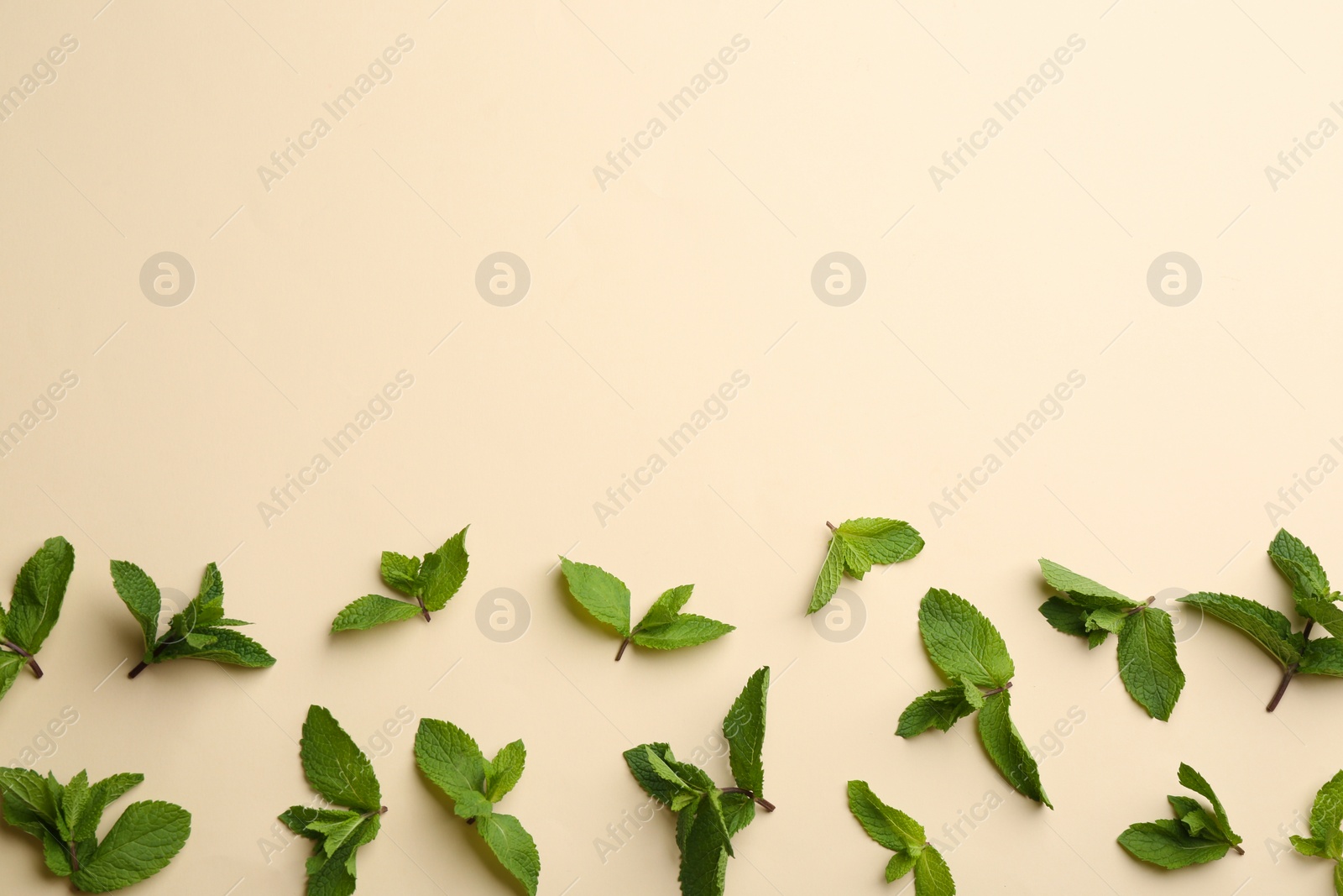 Photo of Fresh mint on beige background, flat lay. Space for text