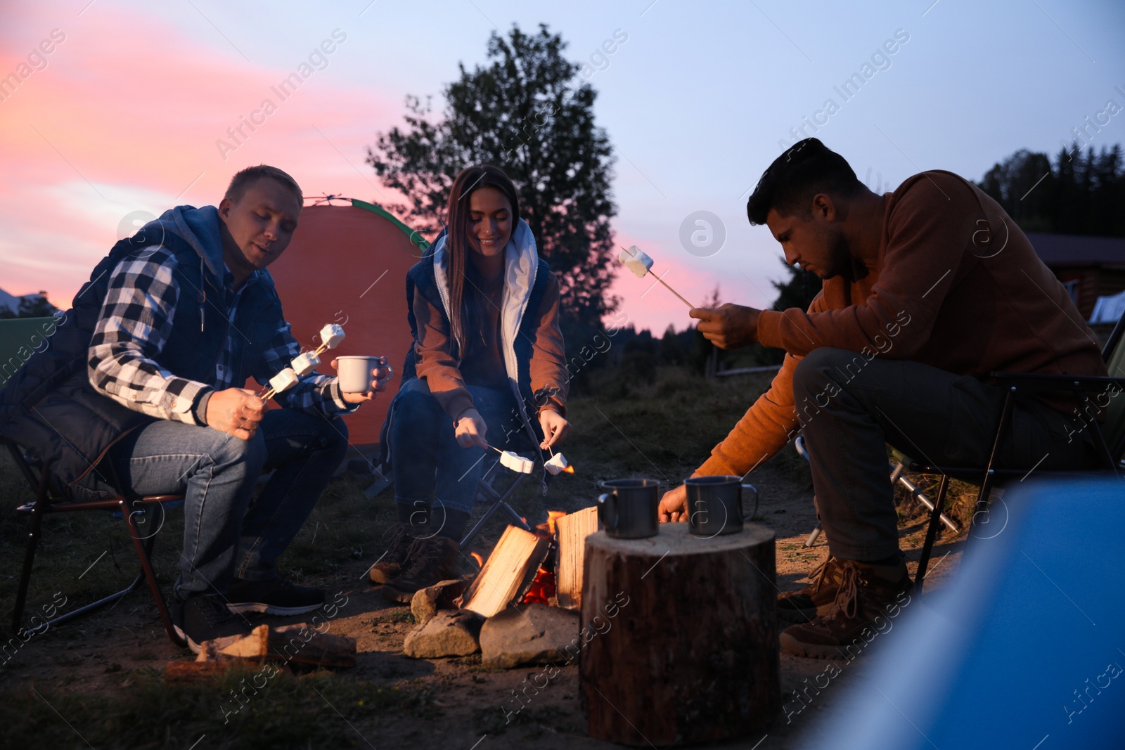 Photo of Group of friends roasting marshmallows on bonfire at camping site in evening