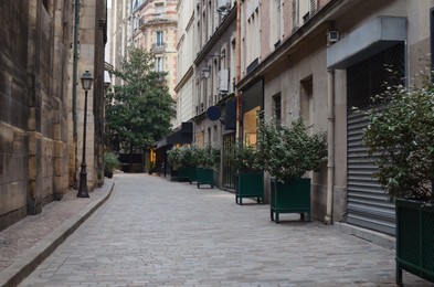 Beautiful view on city street with buildings and plants