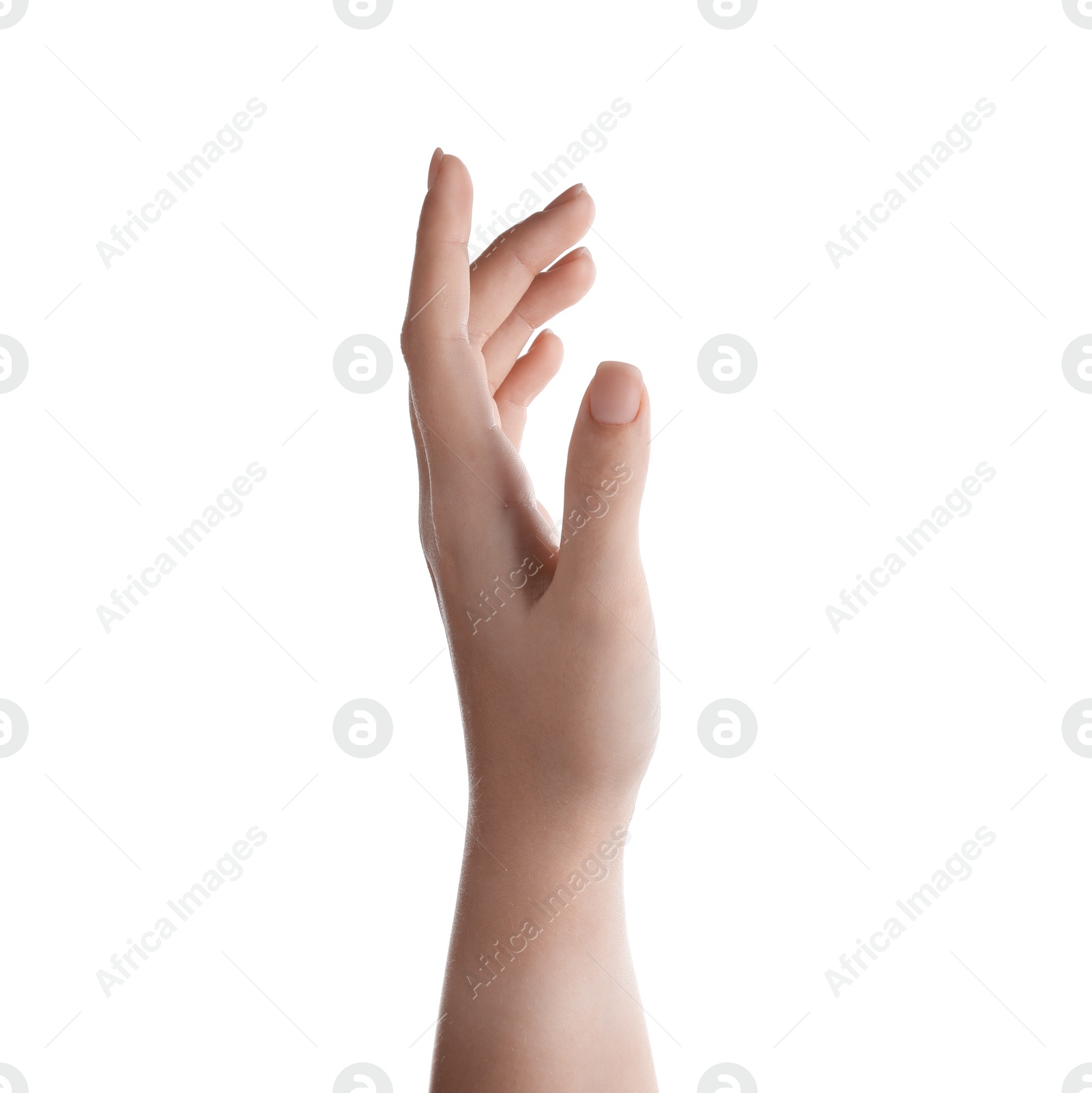 Photo of Woman holding something on white background, closeup of hand