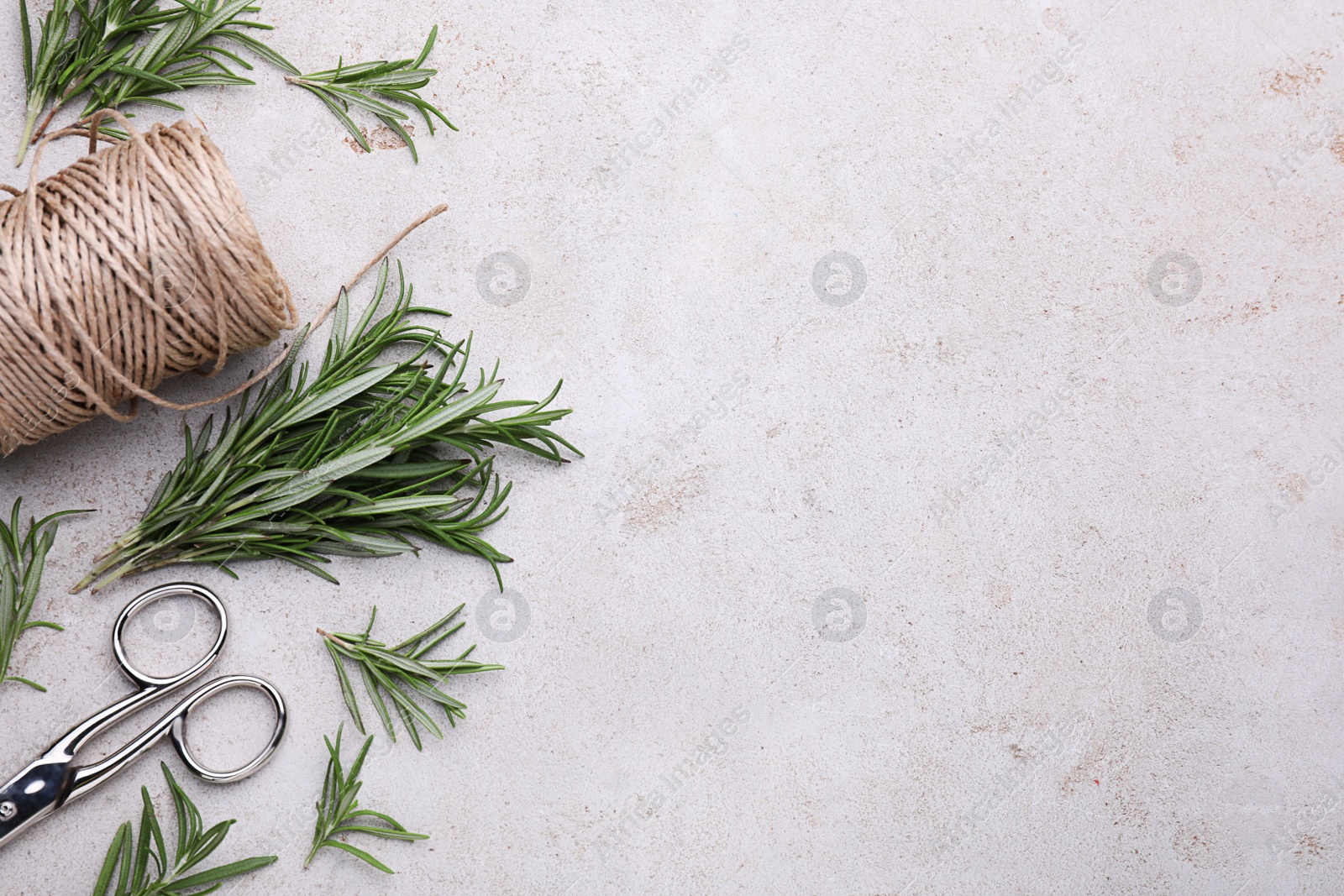 Photo of Sprigs of rosemary, scissors and twine on light gray background, flat lay. Space for text